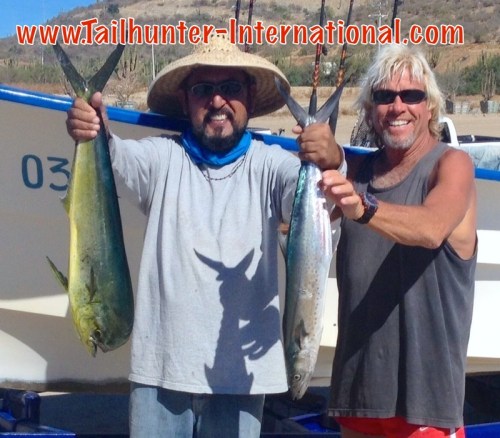 Kasper sierra dorado 1-15 tags