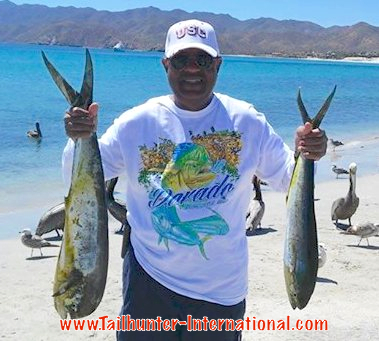 dorado butch tags 3-15