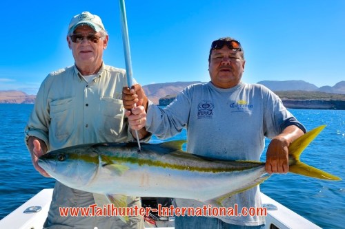 Jeff Brown tags yellowtail 3-15