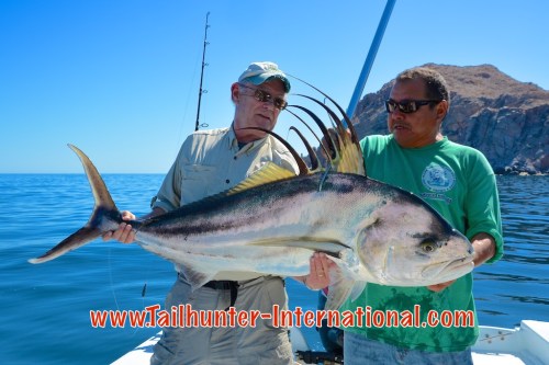 roosterfish jeff brown 3-15 tags