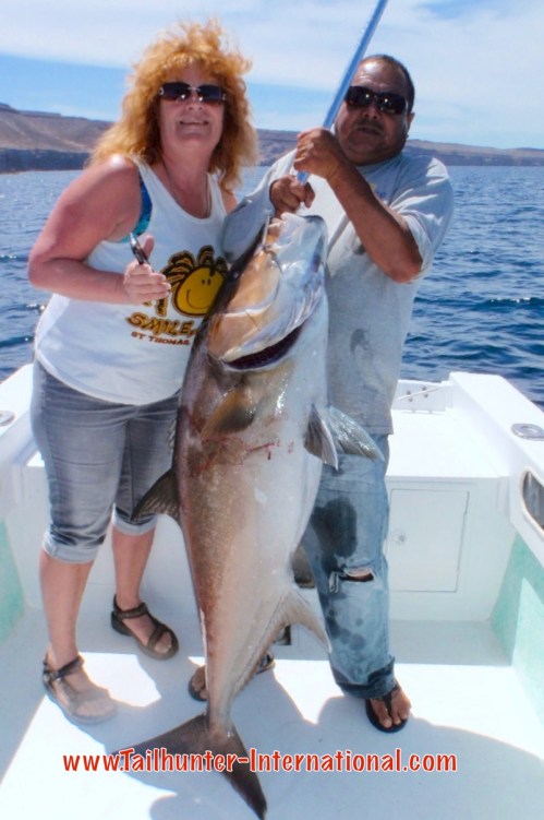 amberjack mindy pollock tags boil 4-15