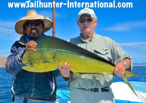 dorado jeff brown jorge tags small 3-15