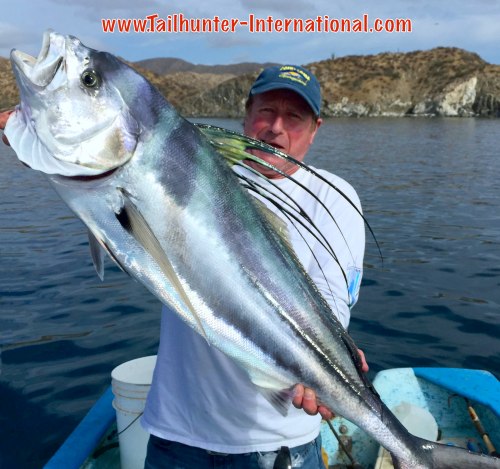 gordy robertson rooster tags small 4-15