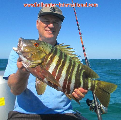 Mitch mulato 3-15 tags small