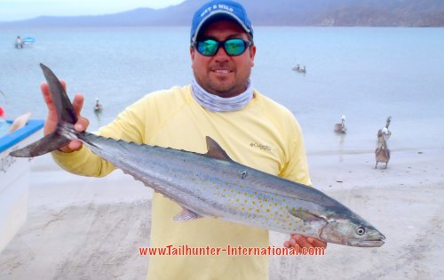 Moncho fly sierra 4-15 tags small