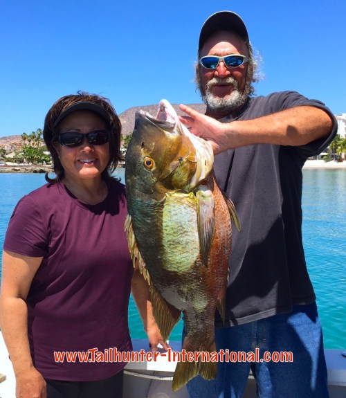 pargo lois tsunoda alfredo tags 4-15
