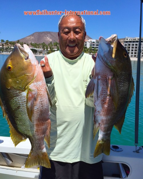 pargo tags gary tsunoda small 4-15