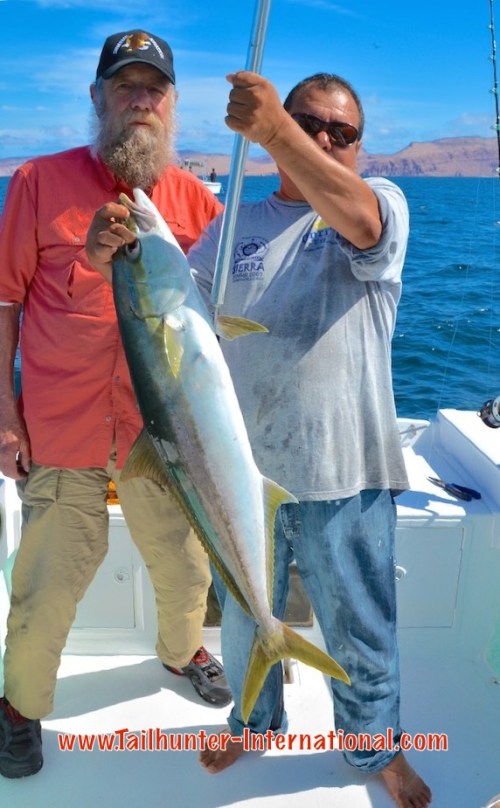 Rod brown yellowtail boli tags 3-15