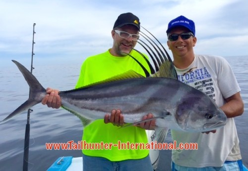 rooster aaron beckord tags small 4-15 joel