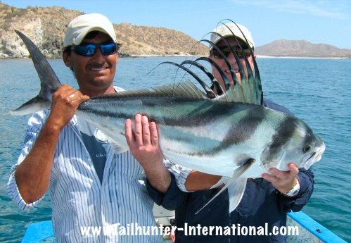 rooster adolfo robert pettit tags small 4-15