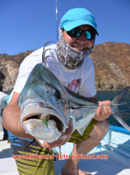 rooster face tags Tyler small 4-15