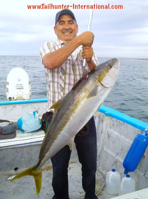 Sergio yellowtail 4-15 tags small