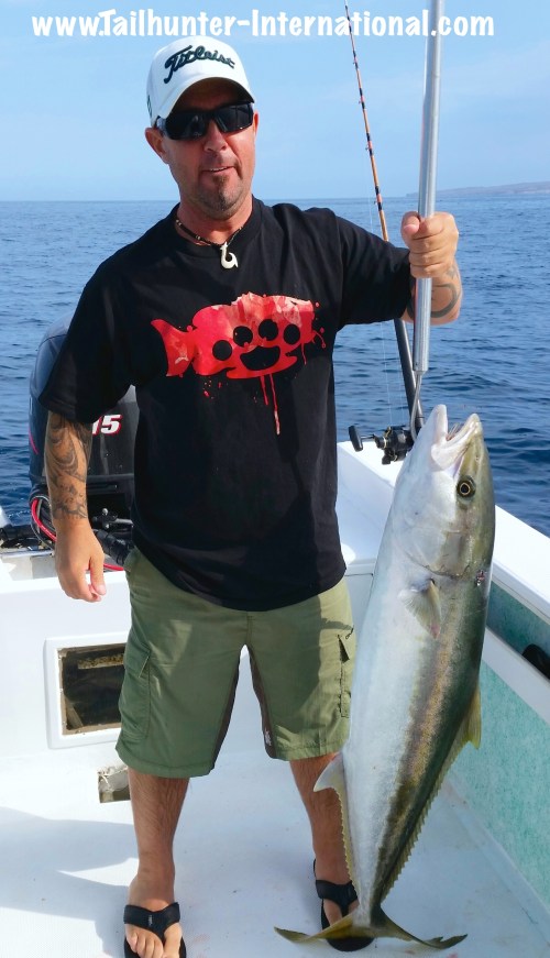 yellowtail dan hypse tags small 4-15