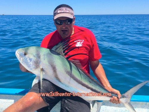 ash ibrahim tags rooster 5-15-