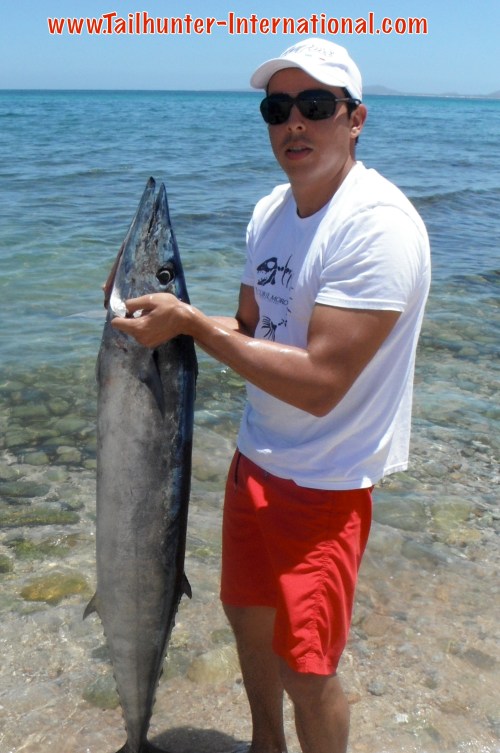 david wahoo tags small 5-15