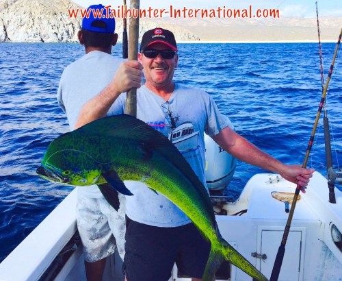 Dorad dave cummins 5-15 tags