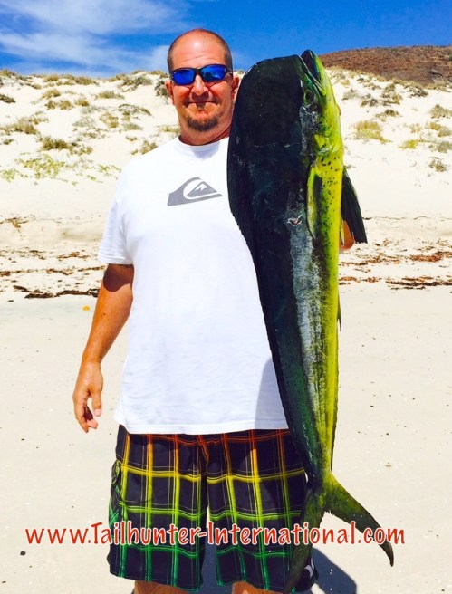 dorado kevin beehn 5-15 tags