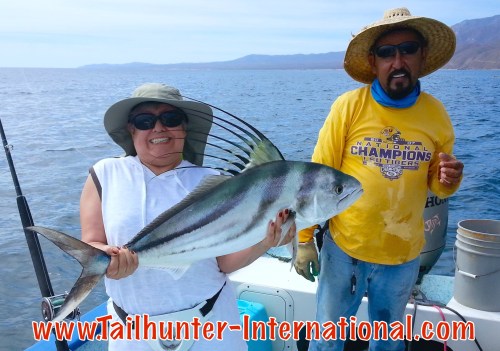 Dorothy roosterfish 4-15 tags small