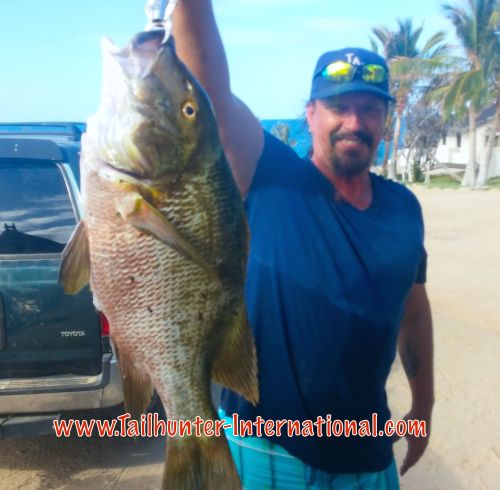 Jeff Page pargo tags 5-15 small