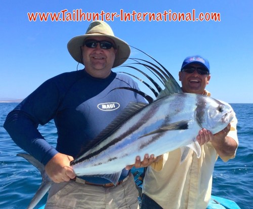 NIGEL WATERTON rooster 5-15 tag small