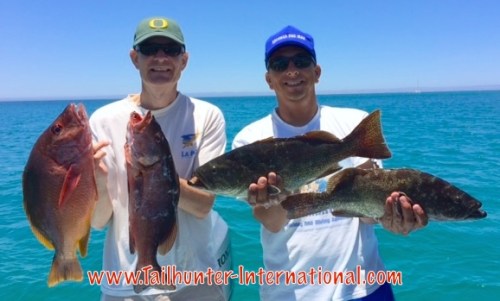 pargo cabrilla drucker 5-15 tags