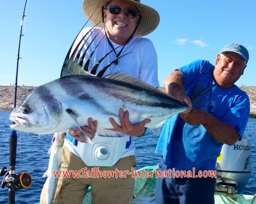 rooster colley 5-15 tags