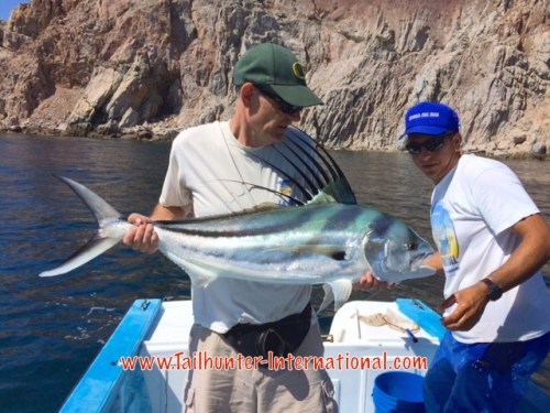 rooster JD tags 5-15