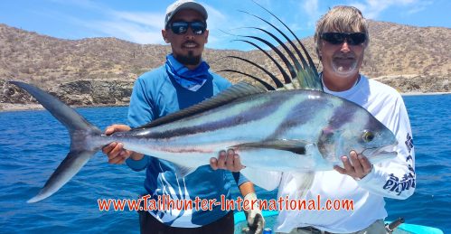 rooster pancho clarence foster tags 5-15