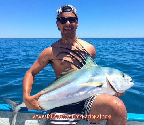 rooster tony ibrahim tags 5-15