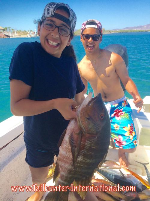 sofia pargo 5-15 tags