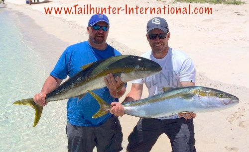 tags yellowtail travis craig and brett fair 5-15