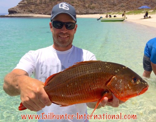 Travis craig pargo 5-15 tags