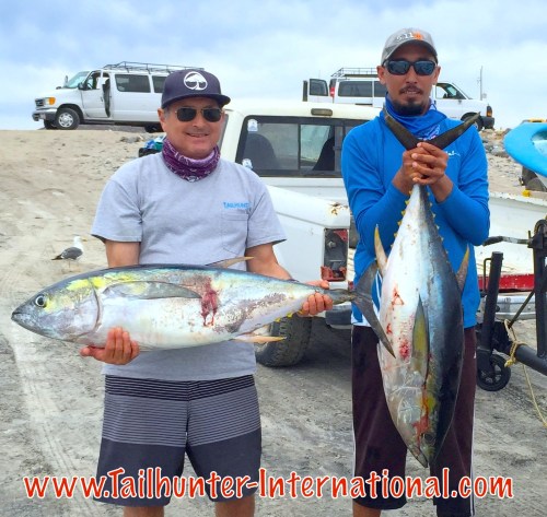 tuna Jay 5-15 tags small