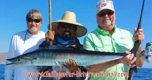 wahoo clarence leroy jorge tags small 5-15