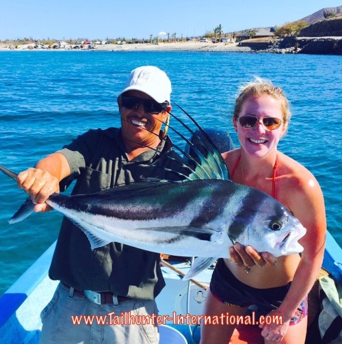 catlyn wagner 6-15 tags rooster