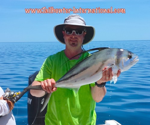 denny king tags rooster 6-15