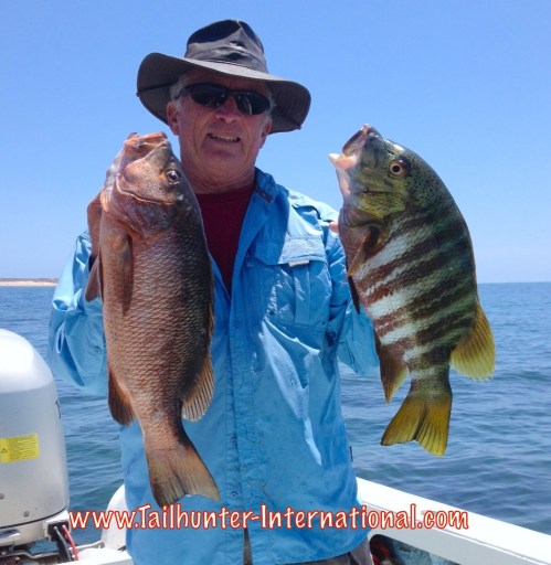 pargo Randy Forrestiere tags 6-15