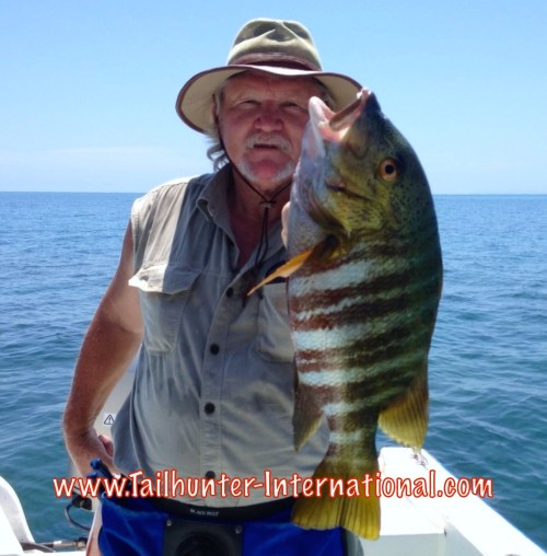 pargo rich sawaske tags 6-15