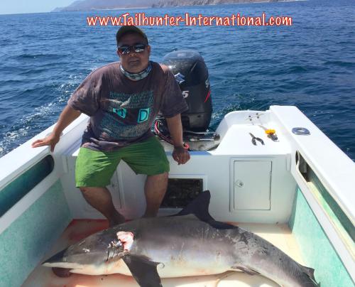 shark phil okamoto tags 6-15