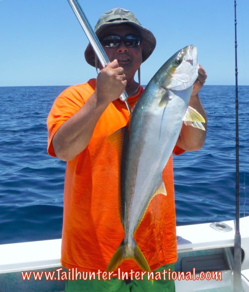 yellowtail Phil Okaomoto tags 6-15