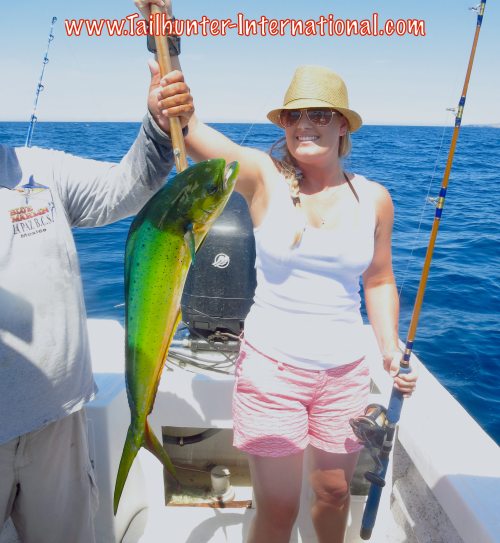 Alecia clegg dorado tags 7-15