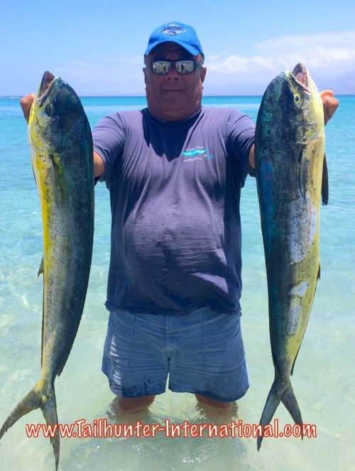 Castanon tags dorado 7-15