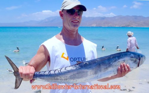 Hillier tags wahoo 7-15