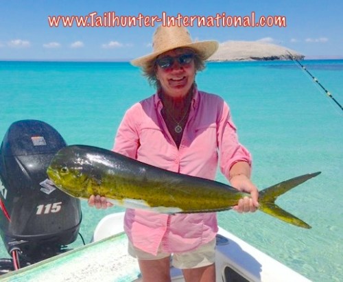 Katie tags dorado 7-15