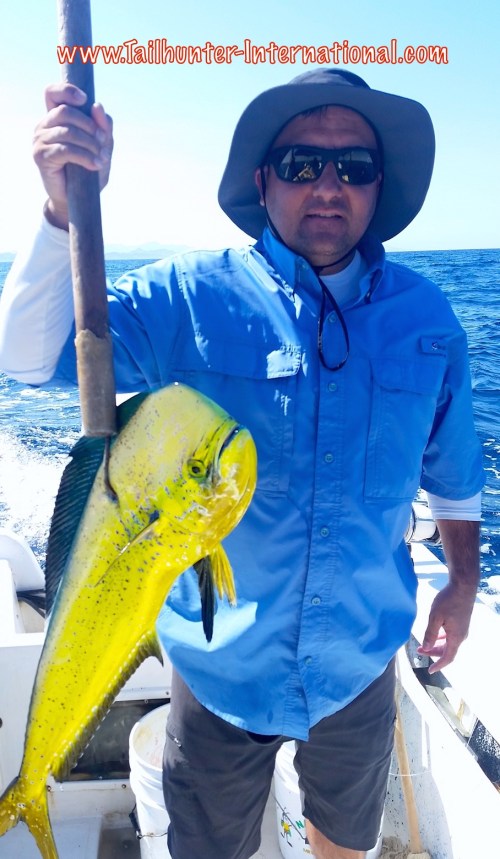 Marcelo dorado tags 7-15