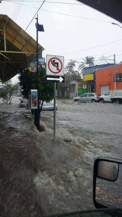 11873393_1535298286690939_1667878280452036526_n