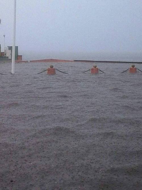 11889611_956404684403210_5367549936475015019_n