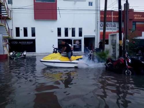 11896078_1535298263357608_4557536843516035782_n