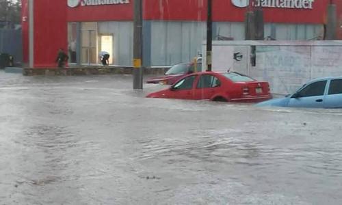 11947466_956404701069875_8038017663555635945_n