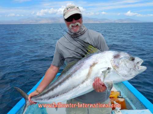 Chaplin ken tags 8-15 rooster